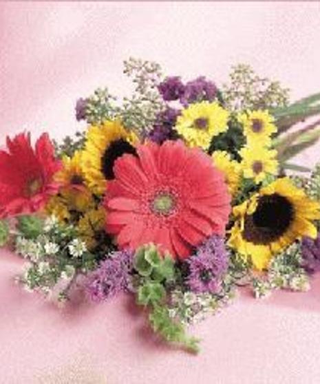 Spring Mix - Best Value